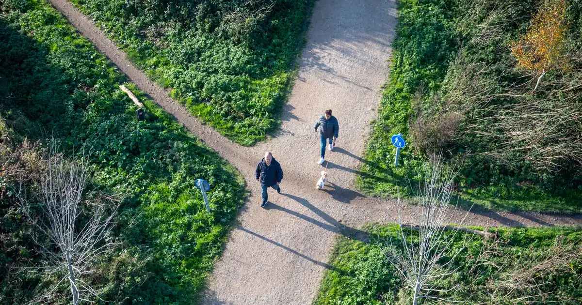 Two paths diverging in a Canadian park, illustrating the debt forgiveness vs consumer proposal choice